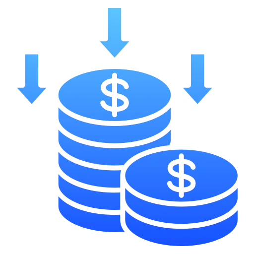 Entry Costs